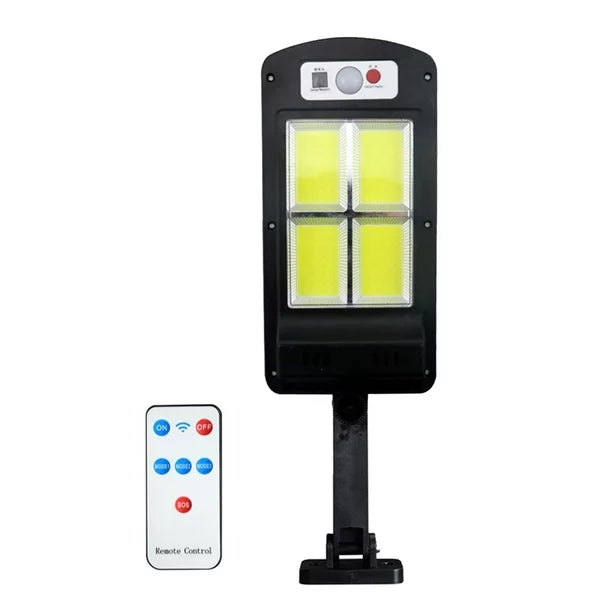 Solar Induction Street Lamp