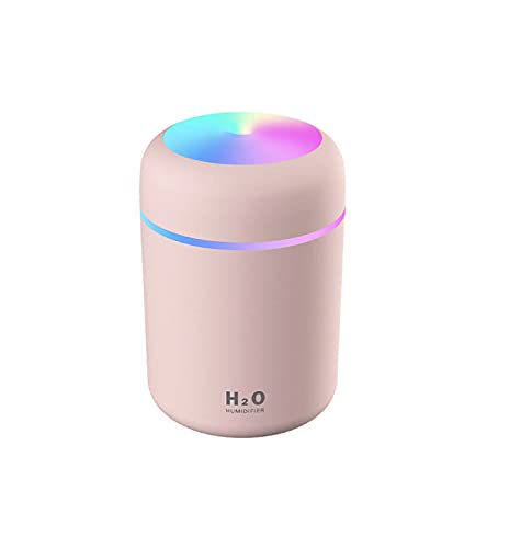 H2O Humidifier